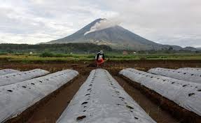 Semeru is one of indonesia's most active volcanoes. Gunung Semeru Keluarkan Awan Panas