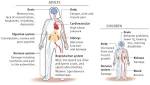 Lead poisoning - , the free encyclopedia
