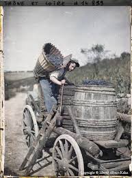 Julien Miquel Wine On Twitter Wine Vintage Photography Wine Country