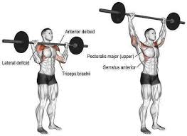 Front Shoulder Press Shoulder Workout Best Shoulder Workout Workout Guide