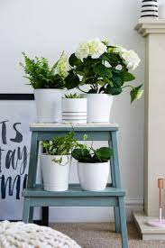 from simple stool to pretty plant stand the ordinary lovely ikea plant stand ikea plants plant stand