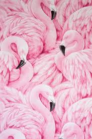 30 Free Cute Pink Wallpaper Aesthetic For Your Iphone Prada Pearls