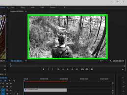 Search discussions or ask a question about adobe premiere pro. How To Make Video Black And White In Adobe Premiere 4 Steps