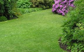 Wenn sie einen garten anlegen sind hochwertige das motto lautet garten anlegen. Garten Anlegen Gestaltungstipps Fur Einsteiger Mein Schoner Garten