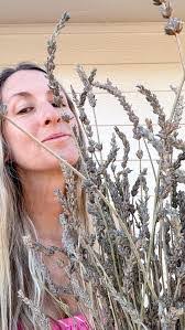 Crystal Marrs's Instagram, Twitter & Facebook