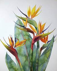 Https Www Instagram Com Flower Art Painting Watercolor Flowers Paintings Plant Painting
