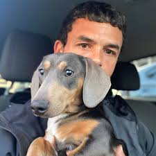 Looking g for a miniature dachshund stud with no dapple in his line based  in Southampton xx Appreciate the responses, I've found a stud but I'll keep  everyone's info for future reference.