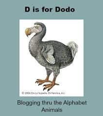 Pin On All Things Animal