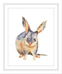 Bilby Print Watercolour Macrotis Watercolour Bilby Bilby Etsy Easter Drawings Watercolor Art Prints Australian Animals
