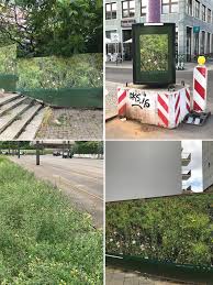 Green Is Hope, and Grass the Future