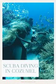 Scuba Diving In Cozumel With Scubatony The Blonde Abroad