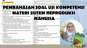 Ini dilengkapi dengan pemetaan kompetensi dasar berdasarkan buku pegangan guru kurikulum 2013 edisi revisi 2018, yang bab 10 teknologi ramah lingkungan. Pembahasan Soal Uji Kompetensi Materi Sistem Reproduksi Manusia Ipa Kelas 9 Semester 1 Hal 47 49 Youtube