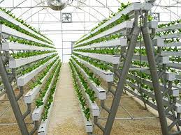 Nft Hydroponic Gardening System For Strawberry Lettuce Growing