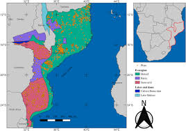 Image result for Pseudobersama mossambicensis