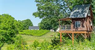 Maybe you would like to learn more about one of these? Top Charlotte Area Vineyard Lets You Sip Wine From Your Own Private Treehouse Charlotte Stories