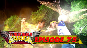 Melawan binatang 23.747 views1 year ago. Macan Vs Rajawali Duel Sengit Rio Dan Arnold Siapa Yang Bakal Menang Ya Tendangan Garuda Eps 75 Youtube