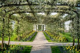 We did not find results for: Step Inside Bunny Mellon S Glorious Gardens Architectural Digest