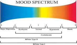 Chart Showing Mood Changes Bipolar Disorder Mental Health