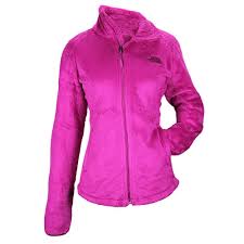 The North Face Womens Tech Osito Jacket