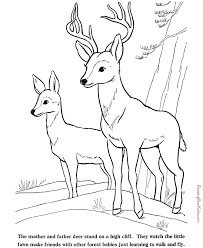 Search through 52378 colorings, dot to dots, tutorials and silhouettes. Printable Deer Coloring Pages Coloring Home