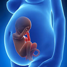 Image result for Breech Presentation