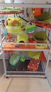 This Not Only Looks Adorable But Has So Many Toys And Things To Do Packed In Too Wonderful Cage Rat Cage Rats Cute Rats