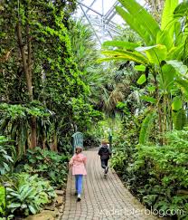 We did not find results for: Everything Is Coming Up Roses At Frederik Meijer Gardens Yodertoterblog