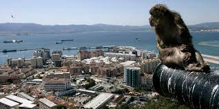 We did not find results for: Streit Zwischen Spanien Und Gibraltar Europas Neuester Fussballzwerg Taz De