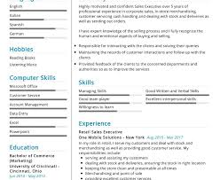 Sample controller resume download free resume template. Sales Executive Resume Example Cv Sample 2020 Resumekraft