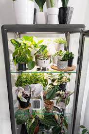 Tips and tricks on how i made my plant cabinet.here is a list of the products mentioned in this video: How To Hack An Ikea Glass Cabinet To Make A Greenhouse