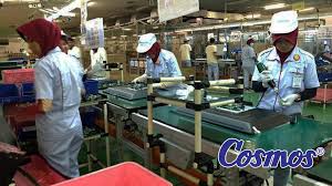 Pt sinar austral textile industry merupakan perusahaan textile yang terletak di leuwigajah, cimahi. Lowongan Kerja Banyak Posisi Pt Star Cosmos Tangerang Info Loker Serang