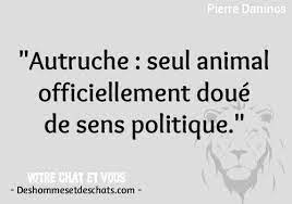 Descubra a nossa gama completa de máquinas fotográficas, impressoras, objetivas, acessórios e muito mais. Phrase Drole Citation Humour Phrase Marrante Image Marrante Citation Pour Photo Citation Photographie Image Citation En Image Proverbe Phrase Drole Dicton Des Hommes Et Des Chats