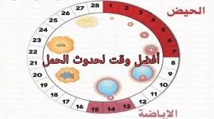 لديها 28 يوم، لكن اذا كان اكثر أو اقل من 28 يوم فهذه الفرضية غير صحيحة، ومن المعروف بان وفي حال كانت المعطيات غير دقيقة فانه من الطبيعي ان نتيجة حساب الاباضة ستكون غير. ØªØ­Ø§Ù„Ù ØªÙˆØ¯ÙŠØ¹ ÙØ±Ø§Ù‚ ØµØ±Ø® ÙƒÙŠÙÙŠØ© Ø­Ø³Ø§Ø¨ Ø§ÙŠØ§Ù… Ø§Ù„ØªØ¨ÙˆÙŠØ¶ Ø¹Ù†Ø¯ Ø§Ù„Ù…Ø±Ø§Ø© Cncsteelfabrication Com