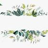 The best selection of royalty free leaf border vector art, graphics and stock illustrations. 1