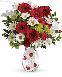 Trandafiri roz și mov, lalele și frezii. Parfum Colorat Buchet Din Gerbera Si Crizanteme