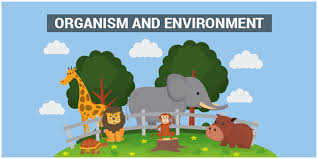 Ecology Relationship Between Organisms And Their Environment