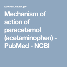 Mechanism Of Action Of Paracetamol Acetaminophen Pubmed Ncbi Action Education In Vivo