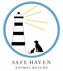 Maybe you would like to learn more about one of these? Pets For Adoption At New York Safe Haven Animal Rescue In Yaphank Ny Petfinder