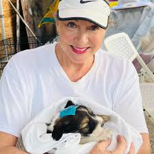 Hi! I'm new to this group. I recently joined because Our society doesnt  seem to know what manners are these days. I'm older an rules have changed.