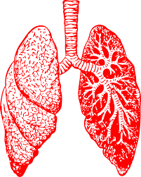 Špirála na hrudi ct s rádiokontrast agent vykazujúci viacnásobné defekty výplne tak pri rozdvojení („sedlová pľúcna embólia), ako aj v pľúcne tepny. PÄ¾ucna Embolia Ako Zit Sportreha Mudr Milan Vahovic Facebook