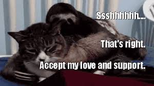 Accept My Love Gifs Get The Best Gif On Giphy