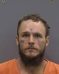 27-year-old DEVIN FISHER from TAMPA was booked