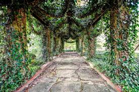 Greenhouse Garden Weddings Receptions Garden Wedding Reception Greenhouse Wedding Secret Garden Wedding