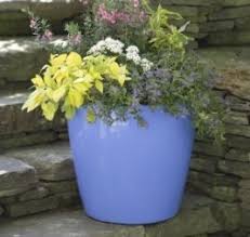 Gardener's supply company pots & planters. Pot For Fiddle Leaf Fig 10 Planters Perfect For Ficus Lyrata