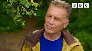 Noel Pollard, M.S., CCC-SLP