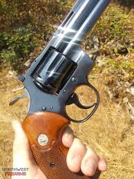 Image result for Bright Blue 1979 Colt