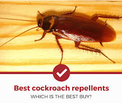 Running a pest control business with pen and paper can feel impossible. Top 4 Best Cockroach Repellents 2021 Review Pest Strategies