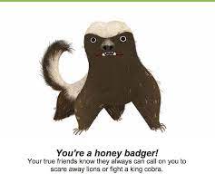 Earth Day Quiz What Animal Are You Honey Badger What Animal Are You Badger Illustration