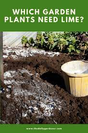 In today's guide to what garden plants need lime, we thought it would additionally be beneficial to take a look at how to lime and specifically what materials are. Which Garden Plants Need Lime