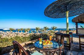 Pin On Zhivi Yarko S Tur Butik Vse Goryashie Tury Zdes Www Tour Butik Com